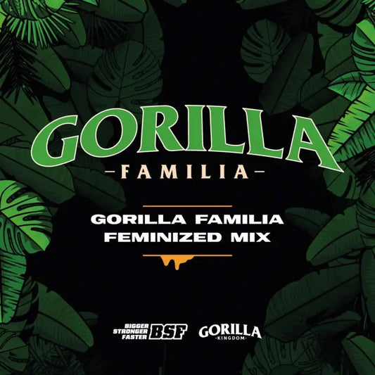 Gorilla Familia Fem Bsf x12