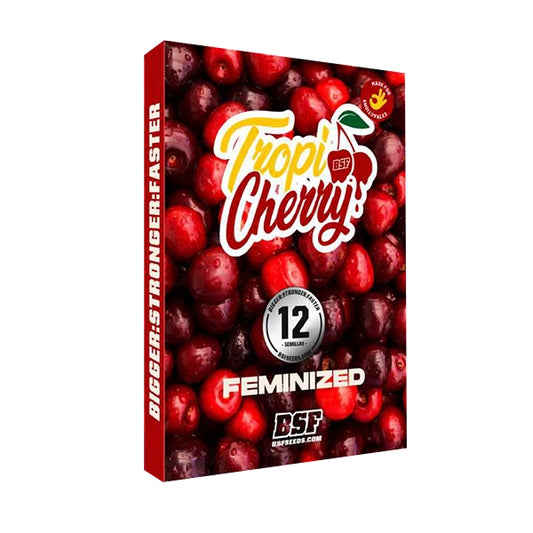 Tropi Cherry Fem X12