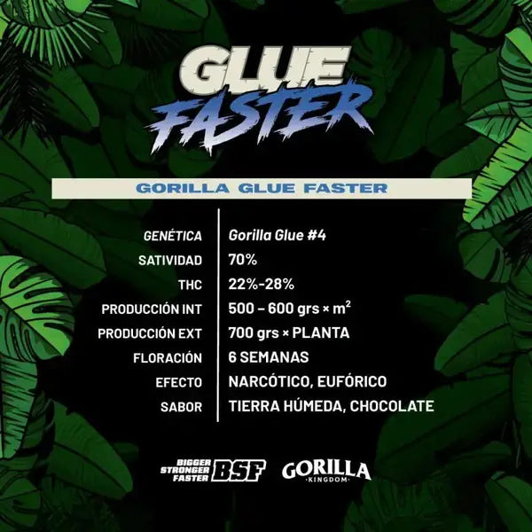 Gorilla Glue Faster