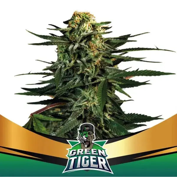 Green Tiger