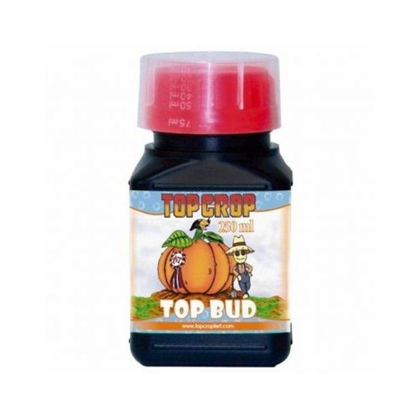 Top Crop Top Bud 250ml