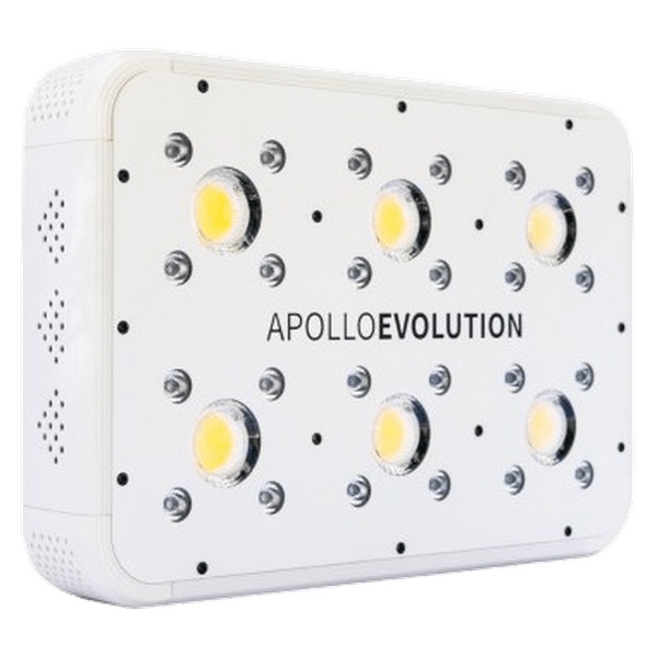 Apollo Evolution 6