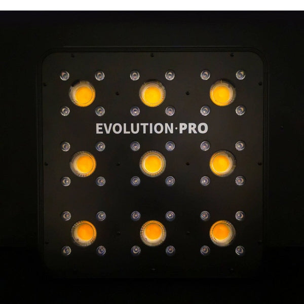 Apollo Evolution pro 9
