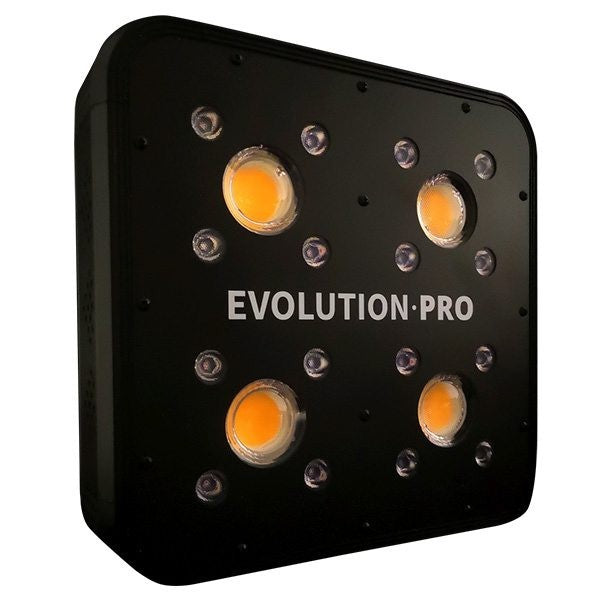 Apollo Evolution PRO 4