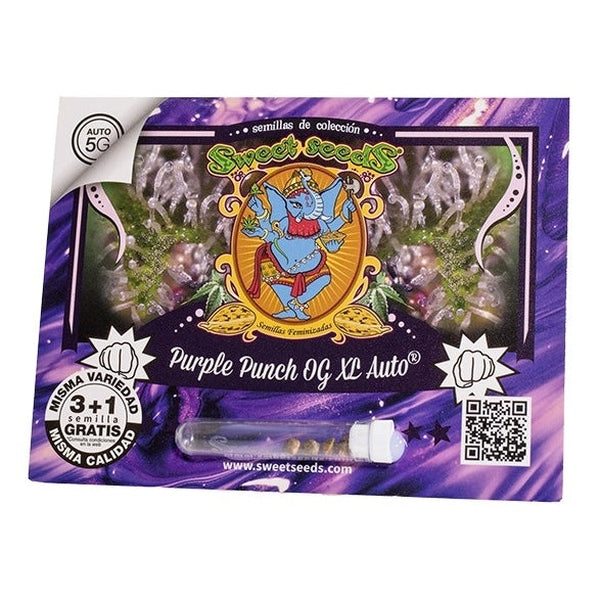 Seeds Sweet Purple Punch Og XL Auto