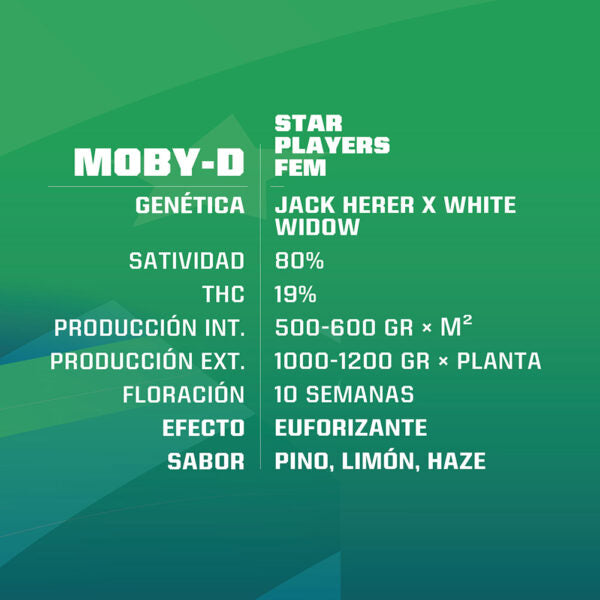 Moby-D Fem x12 BSF